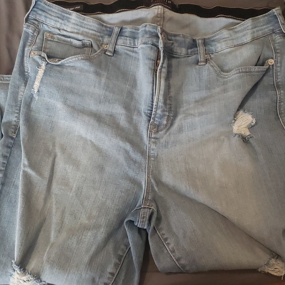 Torrid capris